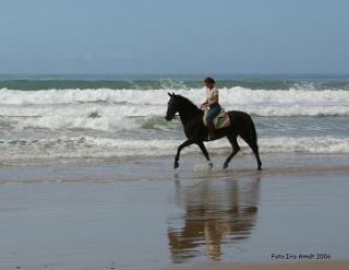 Montando a caballo junto al mar